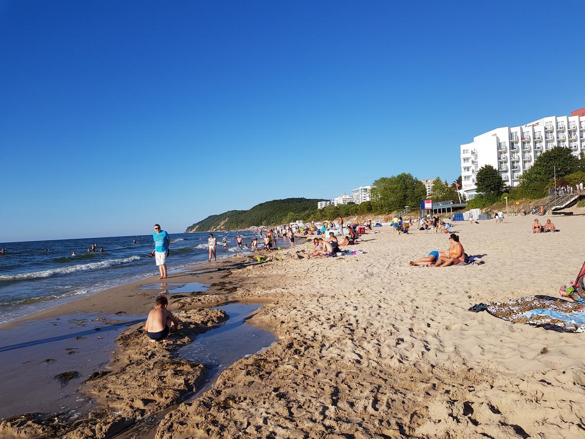 Osrodek Wczasowy Zloty Dab - Domki Hotel Мендзиздрое Екстериор снимка